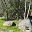  Land for sale in Valparaiso, Hijuelas, Quillota, Valparaiso