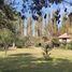 5 Habitación Casa en venta en Santiago, Colina, Chacabuco, Santiago