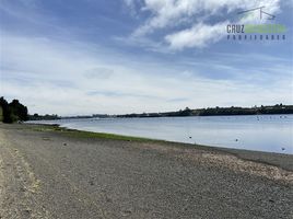  Terreno (Parcela) en venta en Llanquihue, Los Lagos, Calbuco, Llanquihue