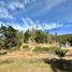  Terreno (Parcela) en venta en Chile, Santa Juana, Concepción, Biobío, Chile