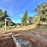  Terreno (Parcela) en venta en Chile, Santa Juana, Concepción, Biobío, Chile