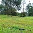 Terrain à vendre à Rionegro, Antioquia, Rionegro