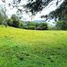 Terrain à vendre à Rionegro, Antioquia, Rionegro