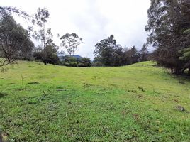 Terrain à vendre à Rionegro, Antioquia, Rionegro