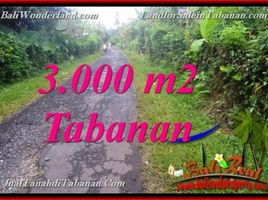  Tanah for sale in Selemadeg, Tabanan, Selemadeg