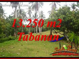  Tanah for sale in Selemadeg, Tabanan, Selemadeg