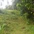  Land for sale in Selemadeg, Tabanan, Selemadeg