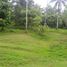  Land for sale in Selemadeg, Tabanan, Selemadeg