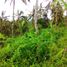  Land for sale in Penebel, Tabanan, Penebel