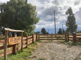  Terreno (Parcela) en venta en Los Lagos, Entre Lagos, Osorno, Los Lagos
