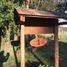  Terreno (Parcela) en venta en Los Lagos, Entre Lagos, Osorno, Los Lagos