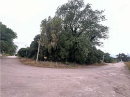 Grundstück zu verkaufen in Tres Arroyos, Buenos Aires, Tres Arroyos