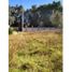  Land for sale in Panotla, Tlaxcala, Panotla
