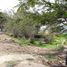  Terreno (Parcela) en venta en Zapopan, Jalisco, Zapopan, Jalisco