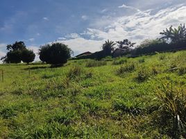  Land for sale in Pereira, Risaralda, Pereira