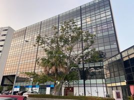 500 SqM Office for rent in Campeche, Carmen, Campeche