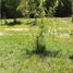  Land for sale in Cordillera Santiago, Pirque, Cordillera, Santiago, Chile