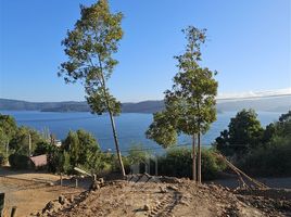  Terreno (Parcela) en venta en Maule, Vichuquen, Curicó, Maule