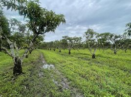 Estudio Villa en venta en Ecuador, Colimes, Colimes, Guayas, Ecuador