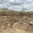 Grundstück zu verkaufen in Conkal, Yucatan, Conkal