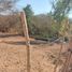  Terreno (Parcela) en venta en Compostela, Nayarit, Compostela, Nayarit