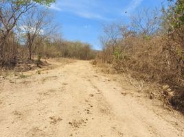  Terreno (Parcela) en venta en Compostela, Nayarit, Compostela, Nayarit