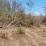  Terreno (Parcela) en venta en Compostela, Nayarit, Compostela, Nayarit