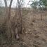 Terrain à vendre à Cadereyta Jimenez, Nuevo Leon, Cadereyta Jimenez, Nuevo Leon