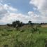 Land for sale in Tonala, Jalisco, Tonala