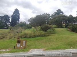  Land for sale in Envigado, Antioquia, Envigado