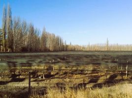  Grundstück zu verkaufen in San Carlos, Mendoza, San Carlos