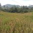  Terreno (Parcela) en venta en Padalarang, West Jawa, Padalarang
