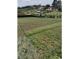  Terreno (Parcela) en venta en Santa Rosa De Cabal, Risaralda, Santa Rosa De Cabal