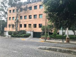 60 m² Office for rent in Miguel Hidalgo, Mexico City, Miguel Hidalgo