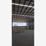 1,600 SqM Office for rent in Coahuila, Matamoros, Coahuila