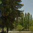  Terreno (Parcela) en venta en San Rafael, Mendoza, San Rafael