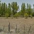  Terreno (Parcela) en venta en San Rafael, Mendoza, San Rafael