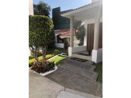 4 Schlafzimmer Haus zu verkaufen in Alvaro Obregon, Mexico City, Alvaro Obregon