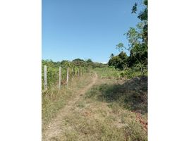  Terreno (Parcela) en venta en Antón, Coclé, Río Hato, Antón