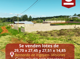  Land for sale in General Manuel Belgrano, Misiones, General Manuel Belgrano