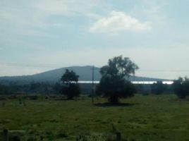  Terreno (Parcela) en venta en Zempoala, Hidalgo, Zempoala