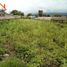  Land for sale in Imbabura, Atuntaqui, Antonio Ante, Imbabura