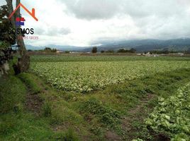  Terreno (Parcela) en venta en Antonio Ante, Imbabura, Atuntaqui, Antonio Ante