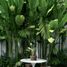 Maison 4 chambre à vendre à Kerobokan, Bali, Kerobokan, Badung