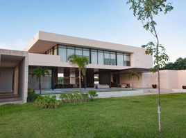  Grundstück zu verkaufen in Conkal, Yucatan, Conkal