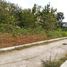  Land for sale in Bantul, Yogyakarta, Sedayu, Bantul