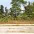  Land for sale in Bantul, Yogyakarta, Sedayu, Bantul