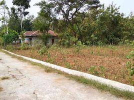  Land for sale in Bantul, Yogyakarta, Sedayu, Bantul