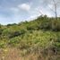  Land for sale in El Palmar Beach, San Carlos, San Carlos