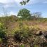  Land for sale in El Palmar Beach, San Carlos, San Carlos